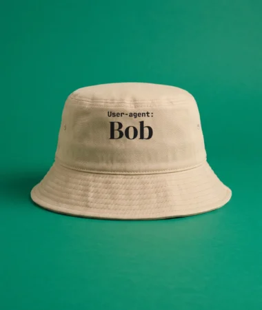 User-agent: Bob