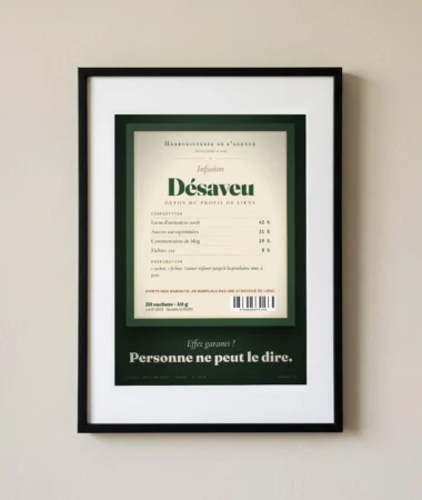 Tisane Désaveu, détox du profil de liens – Posters