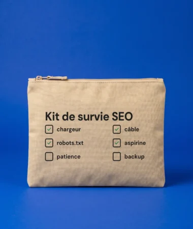 Kit de survie SEO – Sacs
