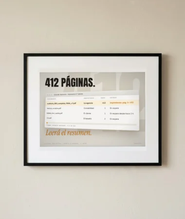 La auditoría de 412 páginas – Pósters