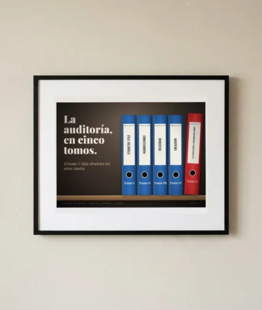 La auditoría en cinco tomos – Pósters