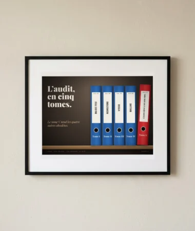 L’audit en cinq tomes – Posters