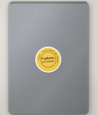 Explorée, pas indexée – Stickers