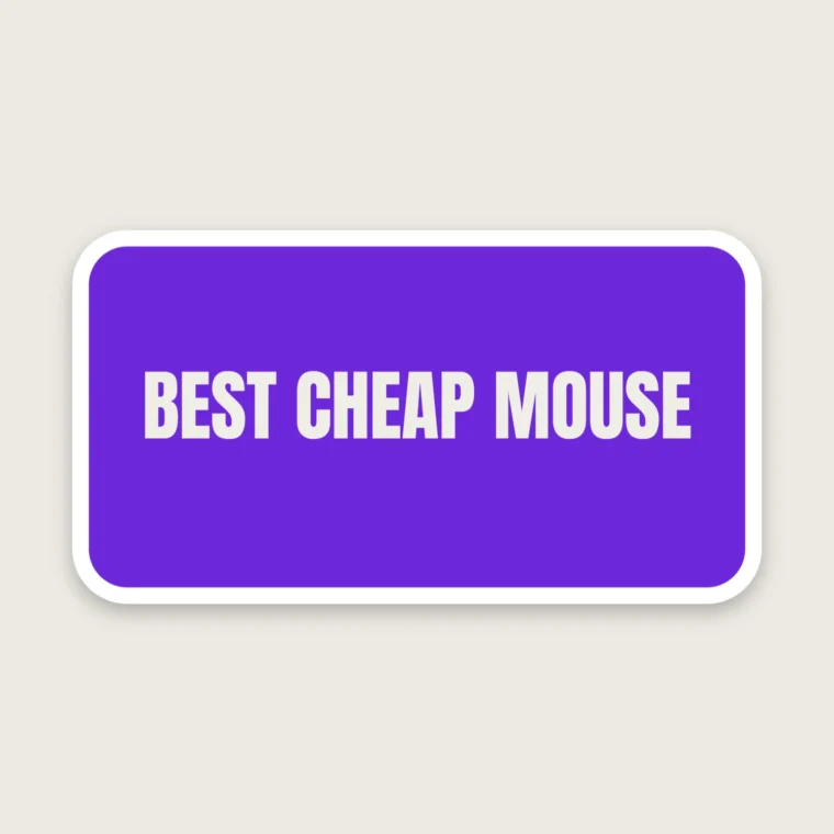 Exact-match mouse – Stickers
