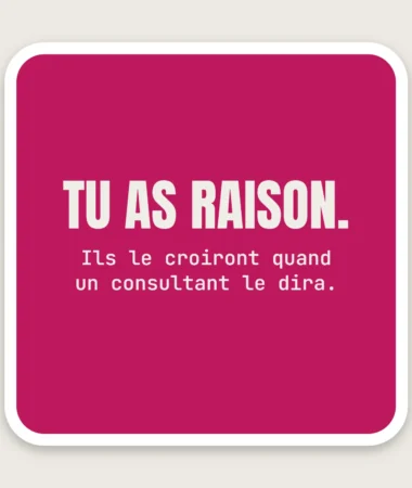 Tu avais raison, dans 6 mois – Stickers
