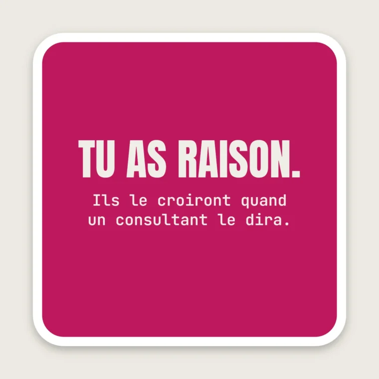 Tu avais raison, dans 6 mois – Stickers