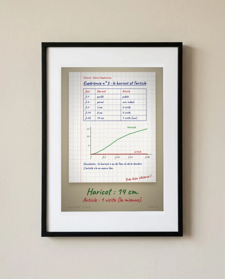 Expérience n° 3 : le haricot et l’article – Posters