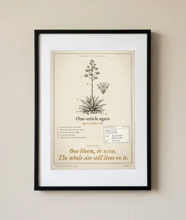 One-article agave – Posters
