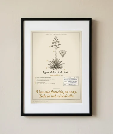 Agave del artículo único – Pósters