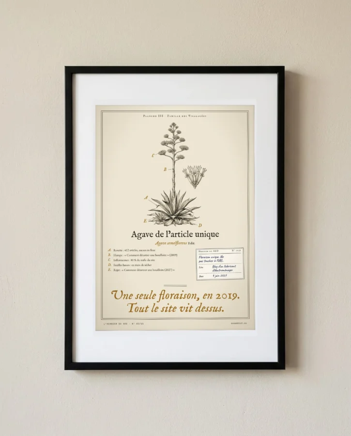 Agave de l’article unique – Posters