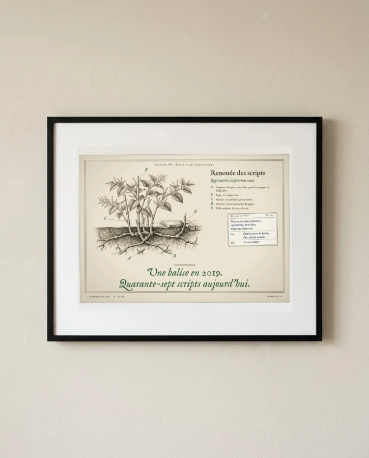 Renouée des scripts – Posters