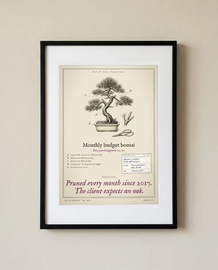 Monthly budget bonsai – Posters