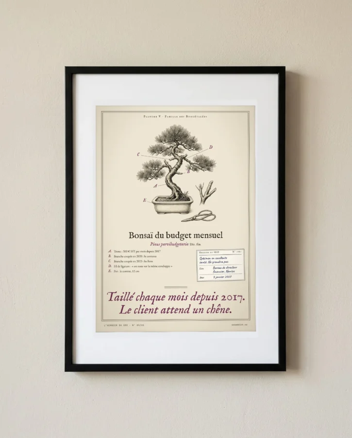 Bonsaï du budget mensuel – Posters