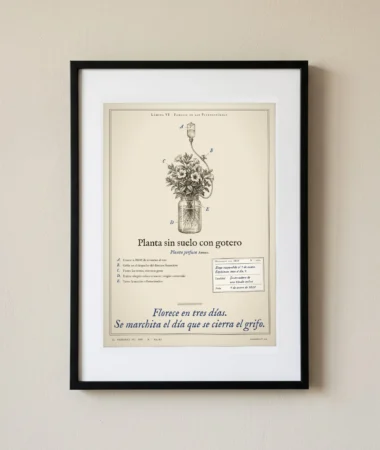 Planta sin suelo con gotero – Pósters