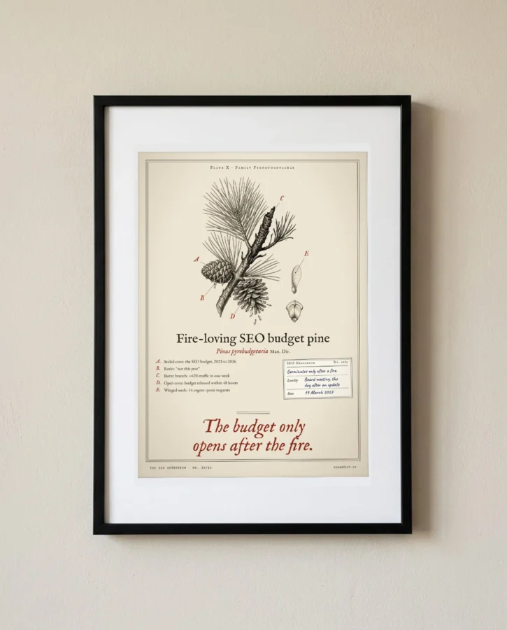 Fire-loving SEO budget pine – Posters