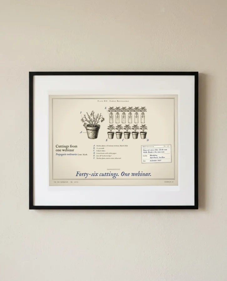 Cuttings from one webinar – Posters