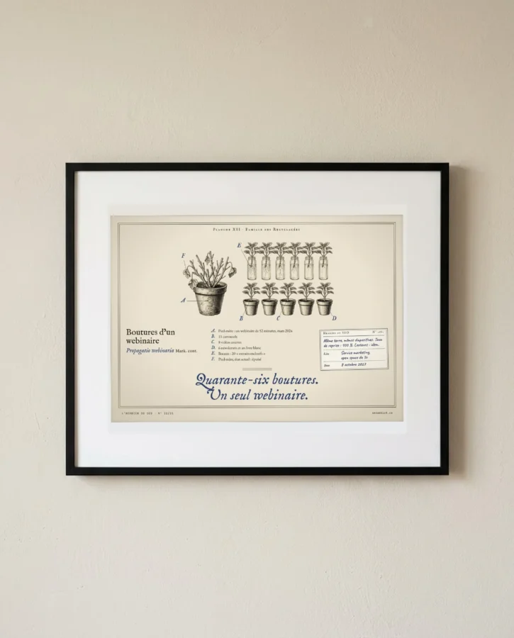 Boutures d’un webinaire – Posters
