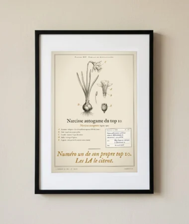 Narcisse autogame du top 10 – Posters