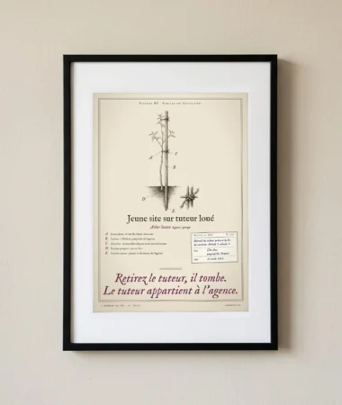Jeune site sur tuteur loué – Posters