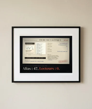 Fiche signalétique d’un réseau de blogs – Posters