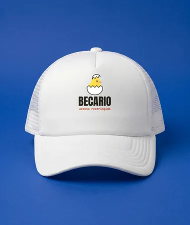 Pollito becario, acceso restringido – Gorras, gorros, riñoneras y delantales