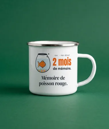 Mémoire de poisson rouge, version GA4 – Maison et bureau