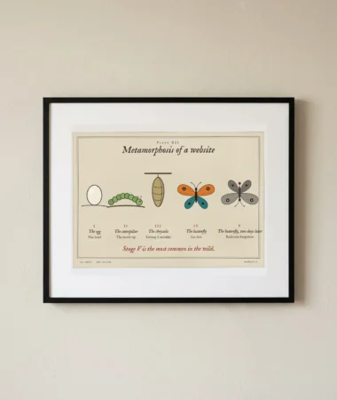 Metamorphosis of a website – Posters