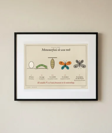 Metamorfosis de una web – Pósters