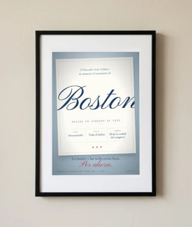 Anuncio de nacimiento de Boston – Pósters
