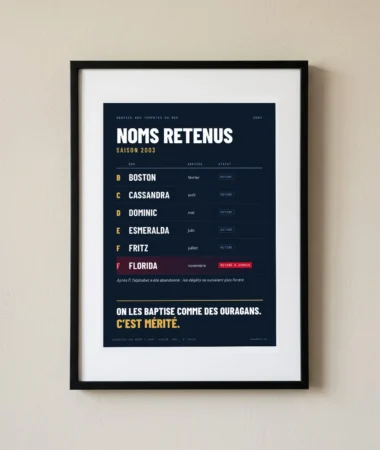 Noms des tempêtes, saison 2003 – Posters