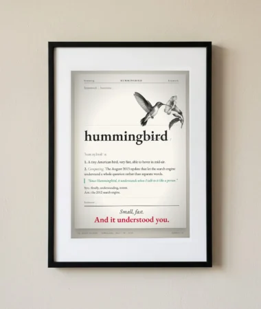 Hummingbird, definition – Posters
