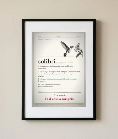 Colibri, définition – Posters