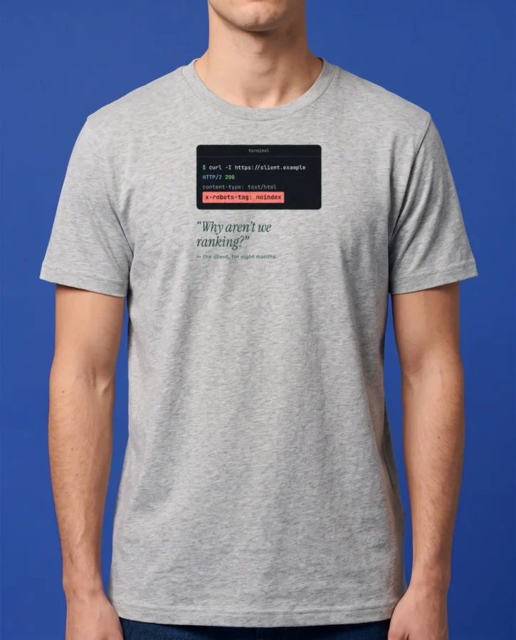x-robots-tag: noindex – T-shirts