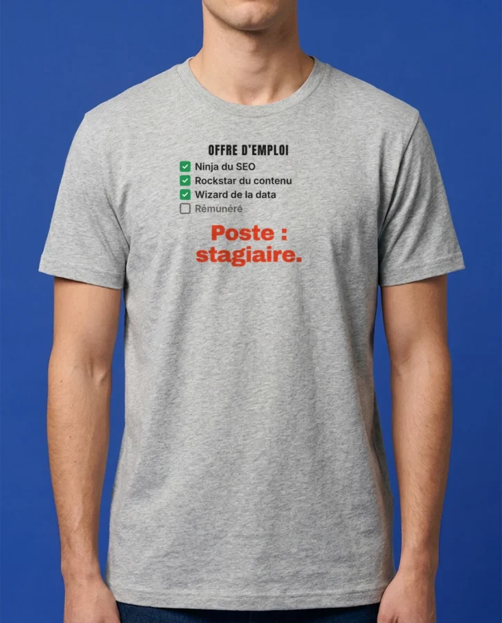 Ninja. Rockstar. Wizard. Stagiaire. – T-shirts