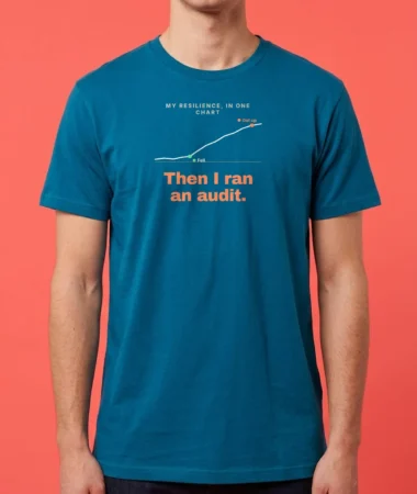 I fell. I got up. I ran an audit. – T-shirts