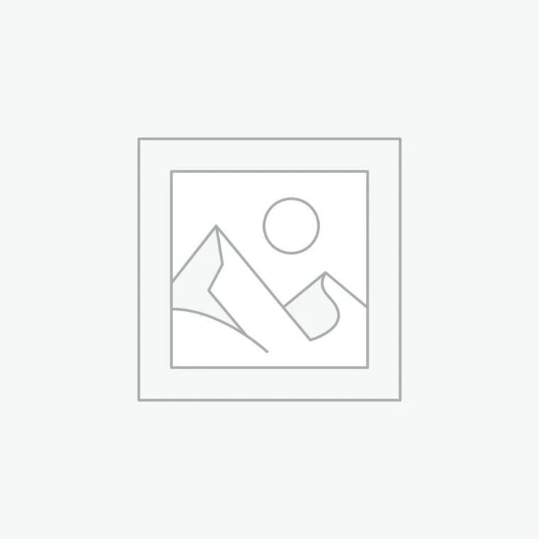 Delay certificate: cause, your copy – Posters
